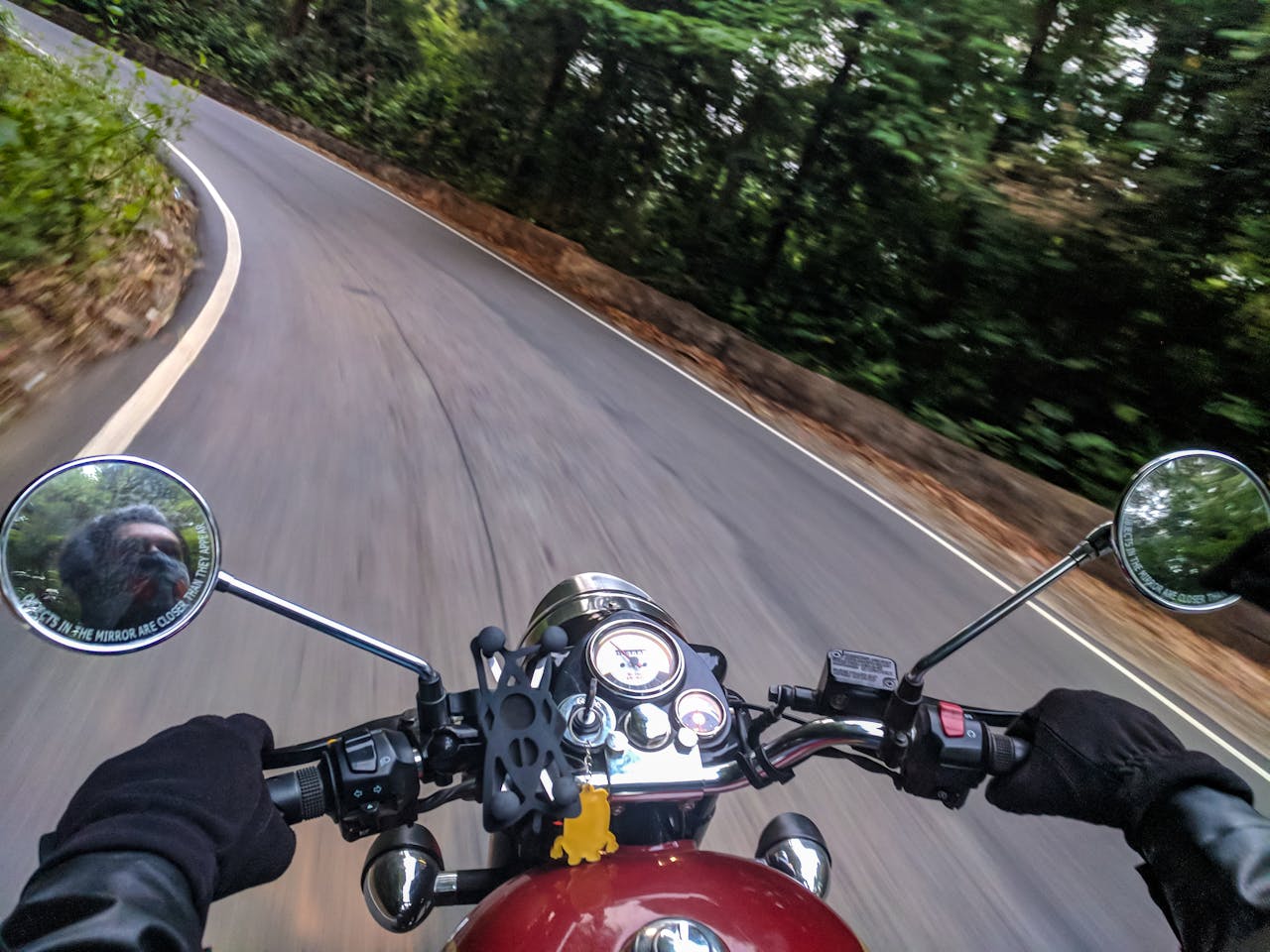 Experience the thrill of motorcycle driving on a winding forest road with speed and adventure.